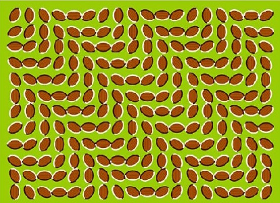 Optical illusions - SHIFTING