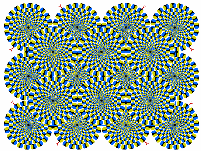 illusions - SPINNING AROUND