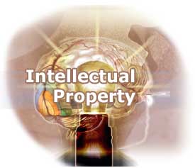 Intellectual property