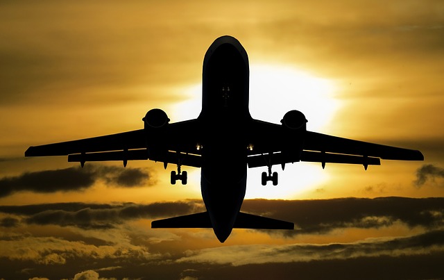 Flight Search